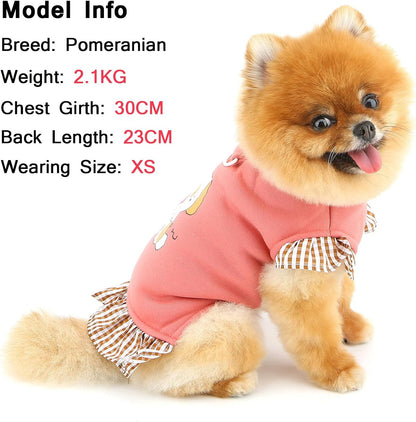 Fleece-Lined Dog Sweatshirt for Extra Small Dogs — Pink XS