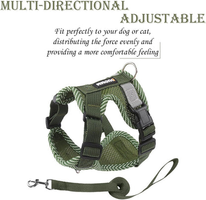 Cat Harness and Lead Set, Secure Walking Solution for Feline Companions, Comfortable Fit with Adjustable Straps, Suitable for Indoor and Outdoor Use.   | FREE SHIPPING