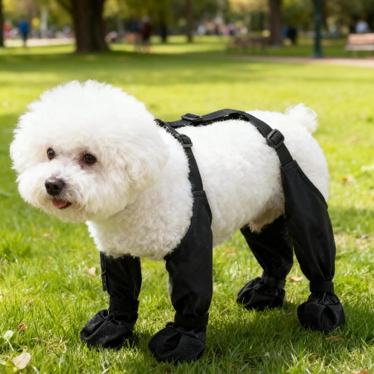 Waterproof Dog Boots,Dog Paw Protector for Small Medium Dogs,Adjustable Boots Pet Shoes for Outdoor Walking Soft Shoes Pets Paws Protector for Injured Paw Stop Licking Outdoor Walking (S)   |FREE SHIPPING