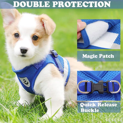 Soft Mesh No Pull Cat Harness and Lead Set for Walking, Escape Proof Kitten Vest Harnesses for Small Dogs/Cats/Animals Rabbit, Cool Cat Dog Collar with Leash (Blue, Medium)   | FREE SHIPPING