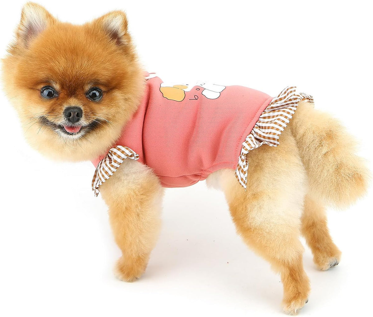 Fleece-Lined Dog Sweatshirt for Extra Small Dogs — Pink XS