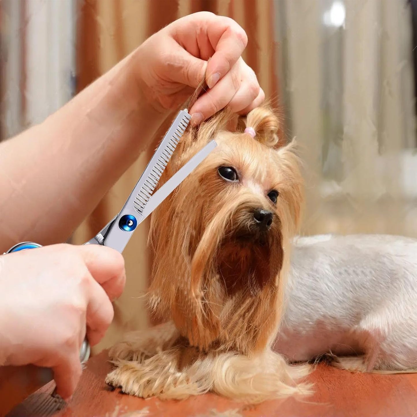 Grooming Scissors, 4-in-1 Dog Grooming Kit with Safety Round Tip, Professional Grooming Shears Set Hair Cutting Trimming Scissors with Steel Comb & Leather Pouch for Dogs Cats Pets   | FREE SHIPPING