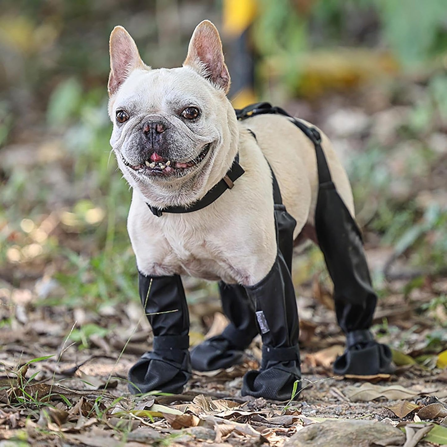Dog Shoes Waterproof - Adjustable Dog Pants | Dog Boots Paw Protectors Socks | Dog Boot Leggings With Suspenders | Anti-Slip Protects From Winter Dog Boots Leg Protectors With Suspenders   | FREE SHIPPING