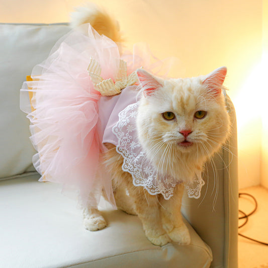 pet clothing lace cat clothes elegant UK Happy Furry