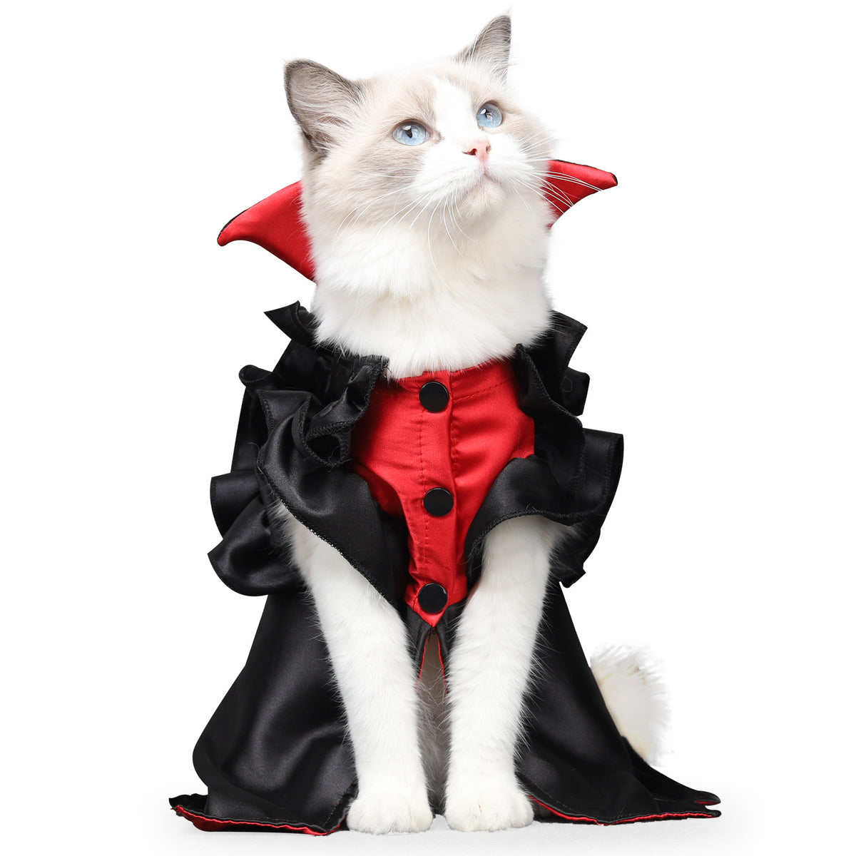 cat halloween vampire transformation costume UK Happy Furry