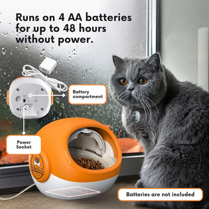 RFID automatic pet feeder