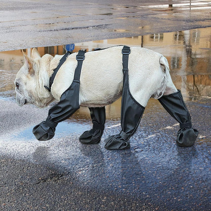Dog Shoes Waterproof - Adjustable Dog Pants | Dog Boots Paw Protectors Socks | Dog Boot Leggings With Suspenders | Anti-Slip Protects From Winter Dog Boots Leg Protectors With Suspenders   | FREE SHIPPING