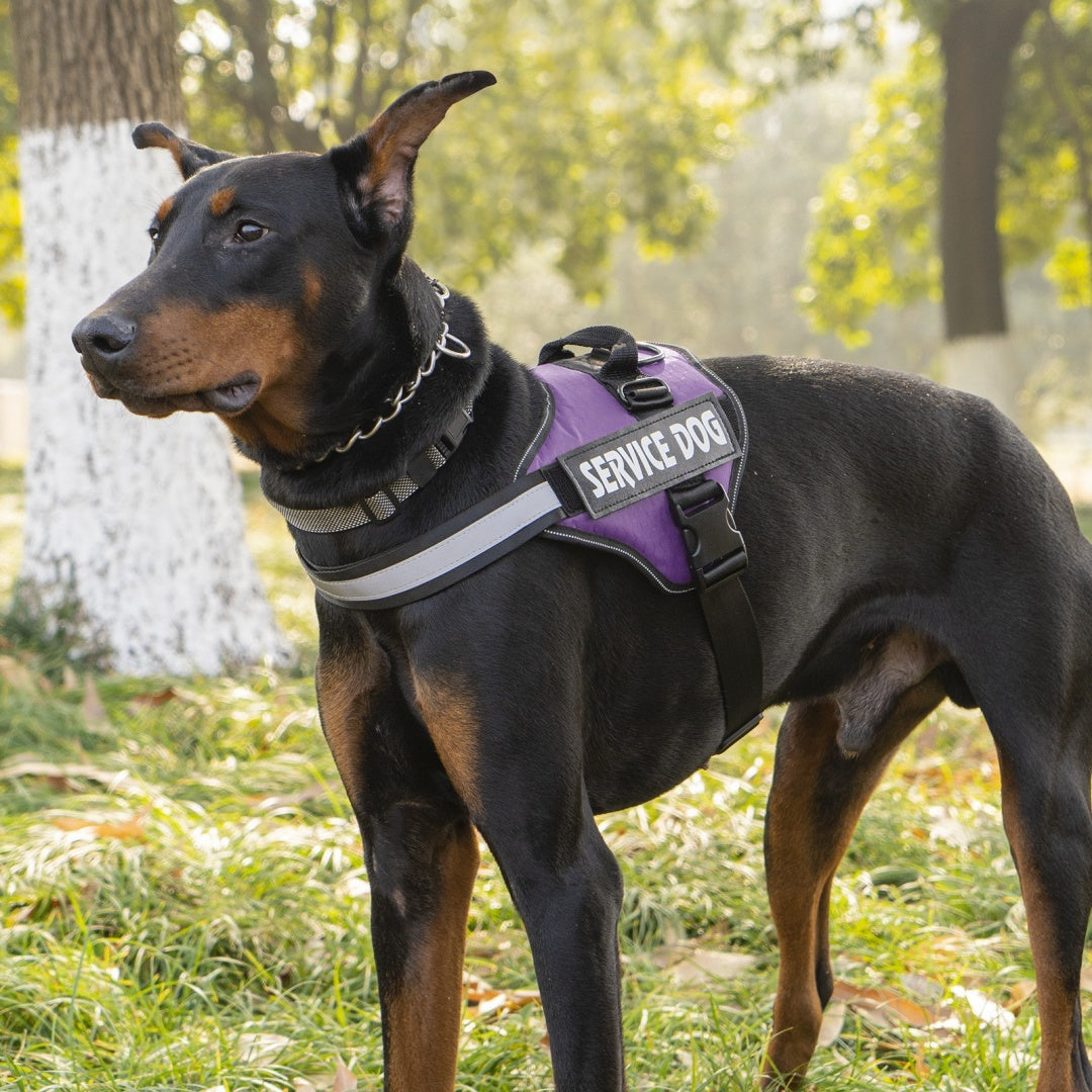 harness dog leash vest style medium large dogs UK Happy Furry