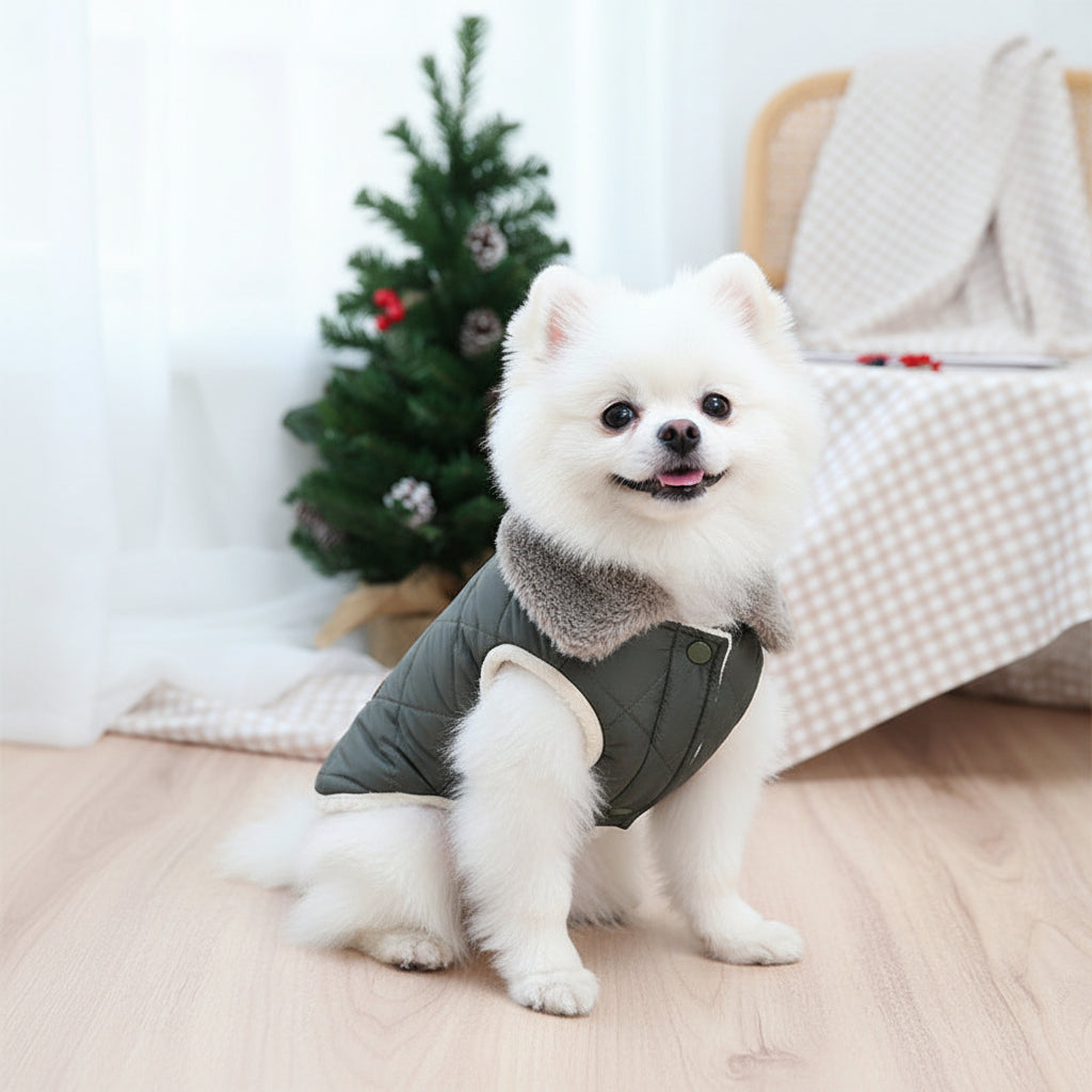 premium pomeranian dog clothes luxury small breed pet clothing Happy Furry UK