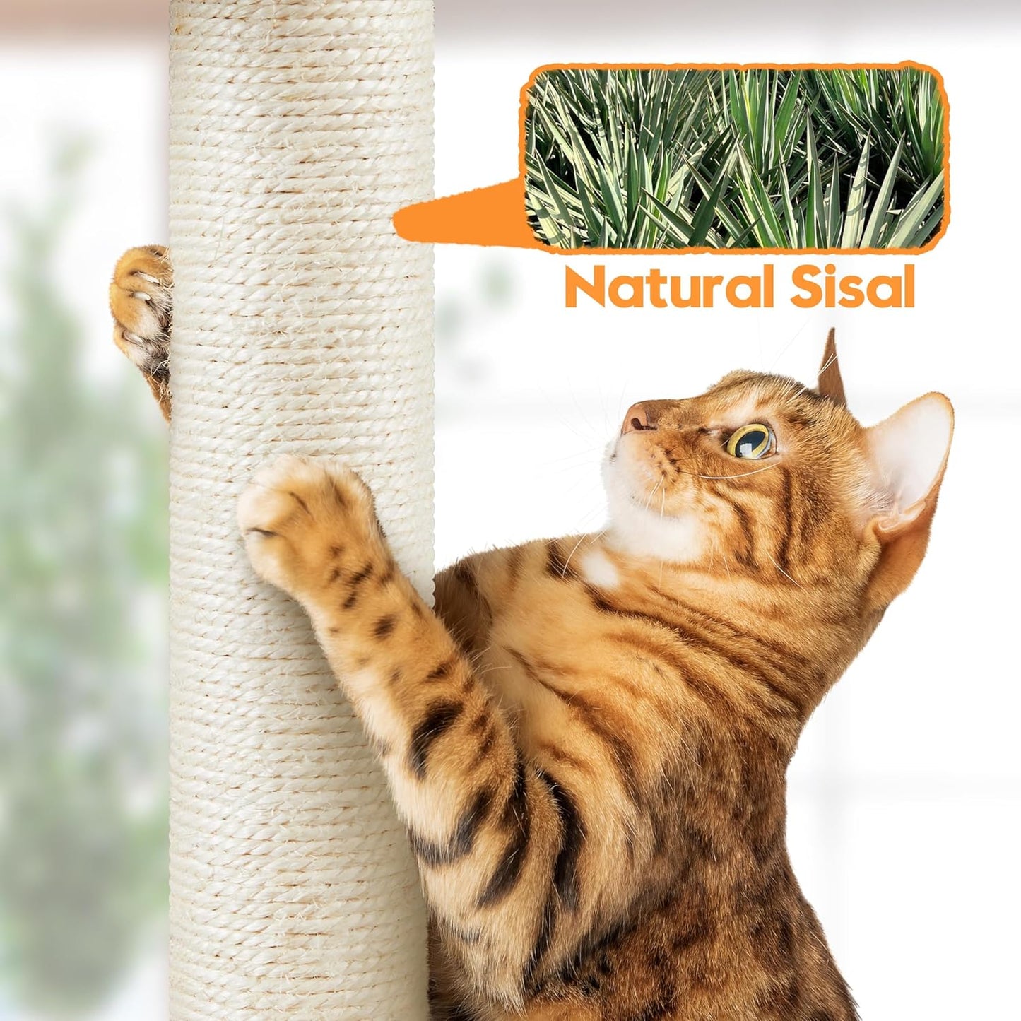 150cm Large Cat Tree Tower Cat Scratching Posts with Condos/Hammock Kitten Climbing Tower for Indoor Kittens/Cats, Dark Grey   | FREE SHIPPING