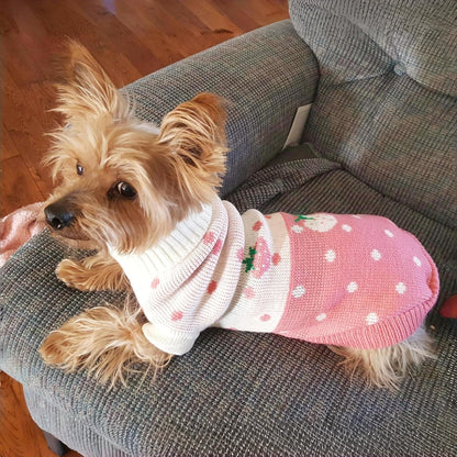 Knitted Turtleneck Sweater for Small Dogs & Cats