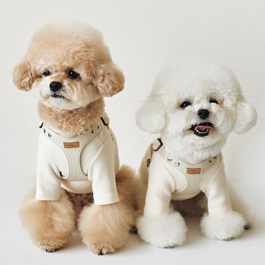 teddy bichon dog chest harness leash outdoor set UK Happy Furry
