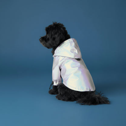 designer fashion dog hoodie windbreaker reflective clothing Happy Furry UK