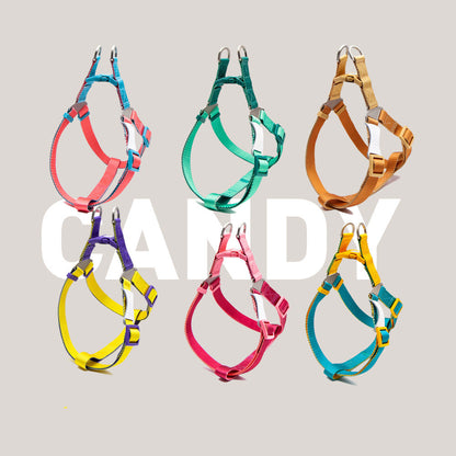 contrast colour hand holding rope chest back collar dog UK Happy Furry