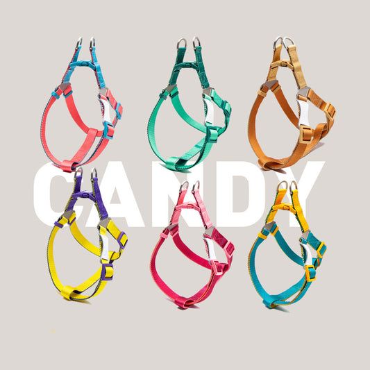 contrast colour hand holding rope chest back collar dog UK Happy Furry