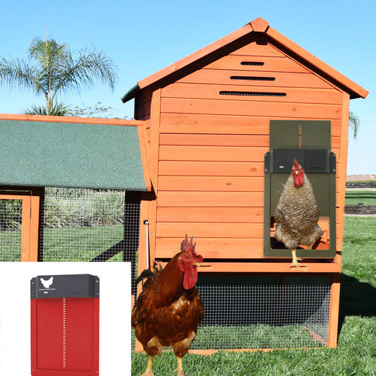 automatic chicken coop door pet coop door poultry UK Happy Furry