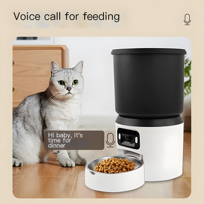 WiFi automatic pet feeder voice recorder smart cat dog UK Happy Furry
