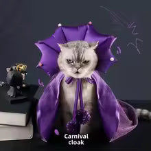 halloween purple star witch costume cloak hat cats dogs UK Happy Furry