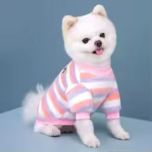 winter warm flannel dog clothes striped sweater small dogs chihuahua pomeranian UK Happy Furry
