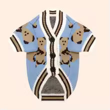 Dog Sweaters for Small Dogs Cute Bear Cardigan Pet Coat Autumn Winter Striped Puppy Clothes Dog Warm Knitted Jacket Dog Pullover