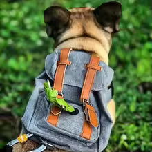 Retro British Dog Self Back Pack Carrying Hiking Bag Travel Packed Dog Poop Bags Backpack Dogs Self Outdoor Walking Pet Supplies