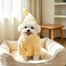 new yellow striped cat dog hoodie warm winter sweatshirt teddy bichon frise UK Happy Furry