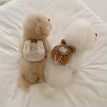 premium harnessable pet backpack outdoor snack bag teddy bichon pomeranian UK Happy Furry