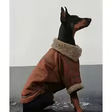 fleece lined dog lapel leather jacket warm vintage outerwear doberman golden retriever UK Happy Furry