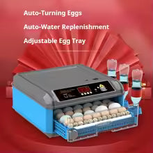 Fully Automatic Mini 24/30/36/48/56/64 Eggs Capacity Chicken Egg Incubator
