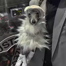 elegant plush winter cape jacket italian greyhound whippet eco fur UK Happy Furry