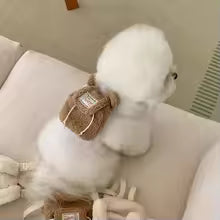 Cute Pet Backpack for Dogs And Cats Outdoor Travel Harnessable Loveable Snack Bag Universal Size Teddy Bichon Pomeranian Clothes