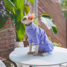 Winter Clothes For Cat, Stripped Cotton 4-legged Coat For Sphinx,Long Sleeves Undershirt For Kittens, Devon Rex Warm Jumpsuit