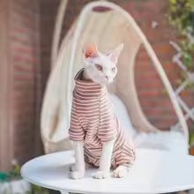 sphinx cat 4 legged striped cotton winter jumpsuit devon rex warm UK Happy Furry