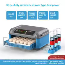Fully Automatic Mini 24/30/36/48/56/64 Eggs Capacity Chicken Egg Incubator