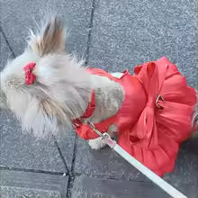 solid colour puppy summer dress D ring pomeranian chihuahua UK Happy Furry