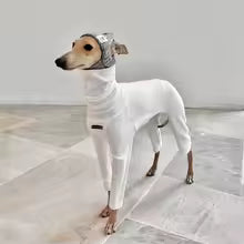 4-legged Cotton White Jumpsuit for Italian Greyhound Wellingtonian Spring High Neck Sweatshirt Winter Undercoat for Whippet
