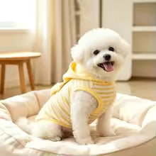 cute yellow striped dog cat hoodie winter sweatshirt teddy bichon UK Happy Furry