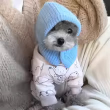 PACK OF 2 Cute Cover Head Dog Calming Earmuffs Warmth Anxiety Relief Pet Knitted Hat Breathable Noise-proof Puppy Cap