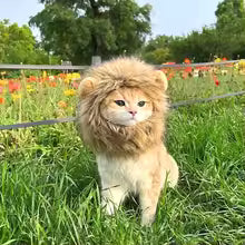 Funny Cosplay Lion Head Mask Cat Dress Up Wig Hat Pet Hat Cap Halloween Party Costume Cat Headwear Accessories Photo Props