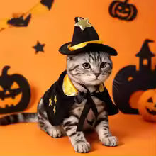 halloween pet witch cloak wizard hat moon star costume UK Happy Furry