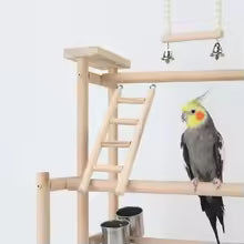 Parrot Playground Game Rack Training Station With Swing Climbing Ladder Bird Interactive Toys Pet Exercise Playing Supplies