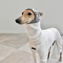 italian greyhound 4 legged cotton white jumpsuit high neck whippet spring UK Happy Furry