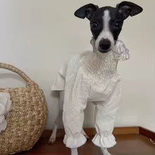 female dog white bubble skirt princess greyhound whippet sunscreen shirt UK Happy Furry