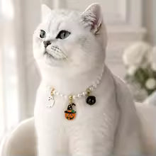 Halloween Cat Collar Pearl Necklace Cute Pumpkin Pet Jewelry Bell Pendant Kitten Costume Accessories Fashion Party Decoration