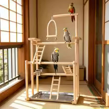 parrot playground game rack training station swing climbing ladder bird toy UK Happy Furry