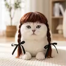 premium double braided pet wig hat cosplay headwear washable dogs cats UK Happy Furry