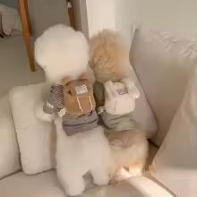 cute pet backpack dogs cats outdoor travel harnessable snack bag teddy bichon pomeranian UK Happy Furry