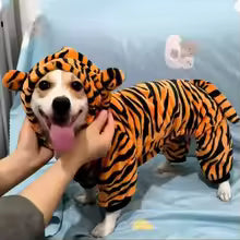 Warm Fleece Lined Hooded Dog Jacket Cute Cartoon Tiger Design for Teddy Bichon Pet Cats And Dogs Clothing Casual Style