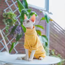 winter clothes cat striped cotton 4 legged coat sphinx devon rex warm jumpsuit UK Happy Furry