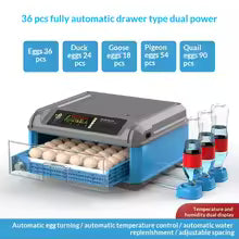 Fully Automatic Mini 24/30/36/48/56/64 Eggs Capacity Chicken Egg Incubator